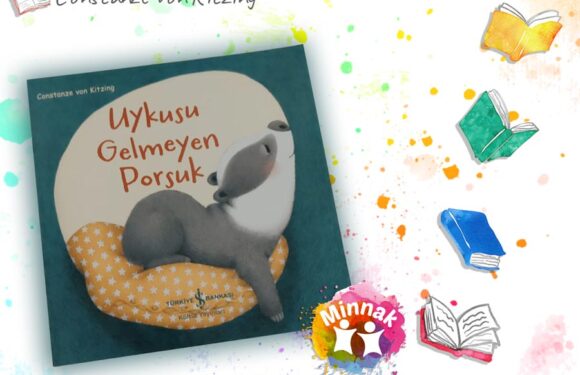 KİTAP ÖNERİLERİ – UYKUSU GELMEYEN PORSUK